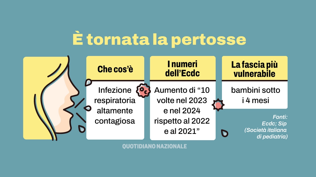 Pertosse in Italia, l'allarme dei pediatri