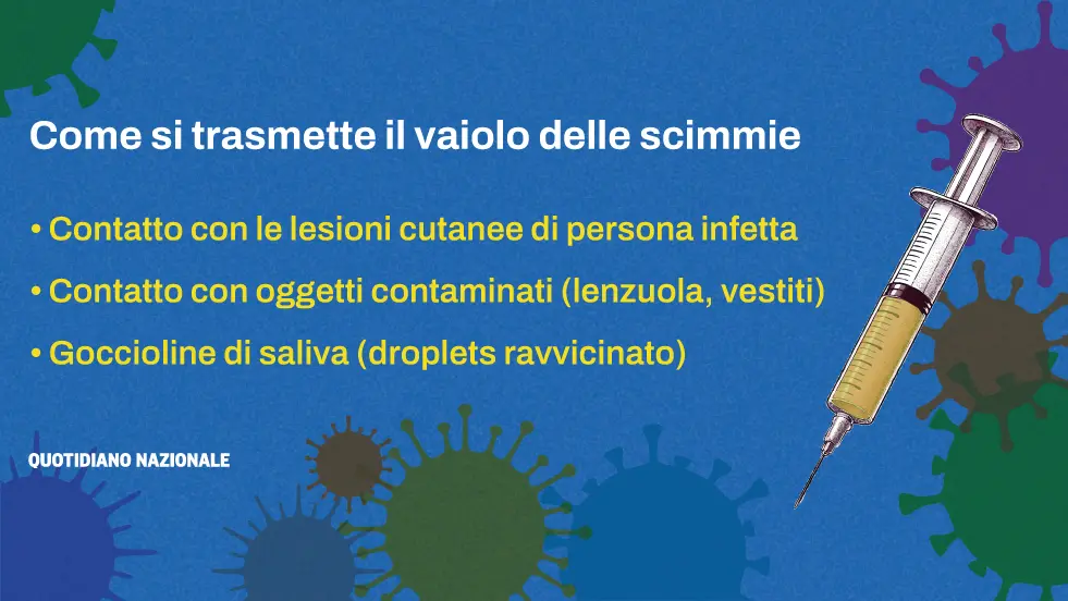 Come Si Trasmette Il Vaiolo Delle Scimmie: La Variante, I Sintomi, Il ...