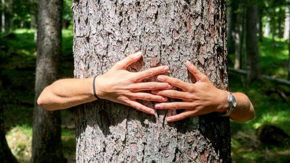 Dolomiti Wellness Festival: la natura diventa il 'personal trainer' del benessere