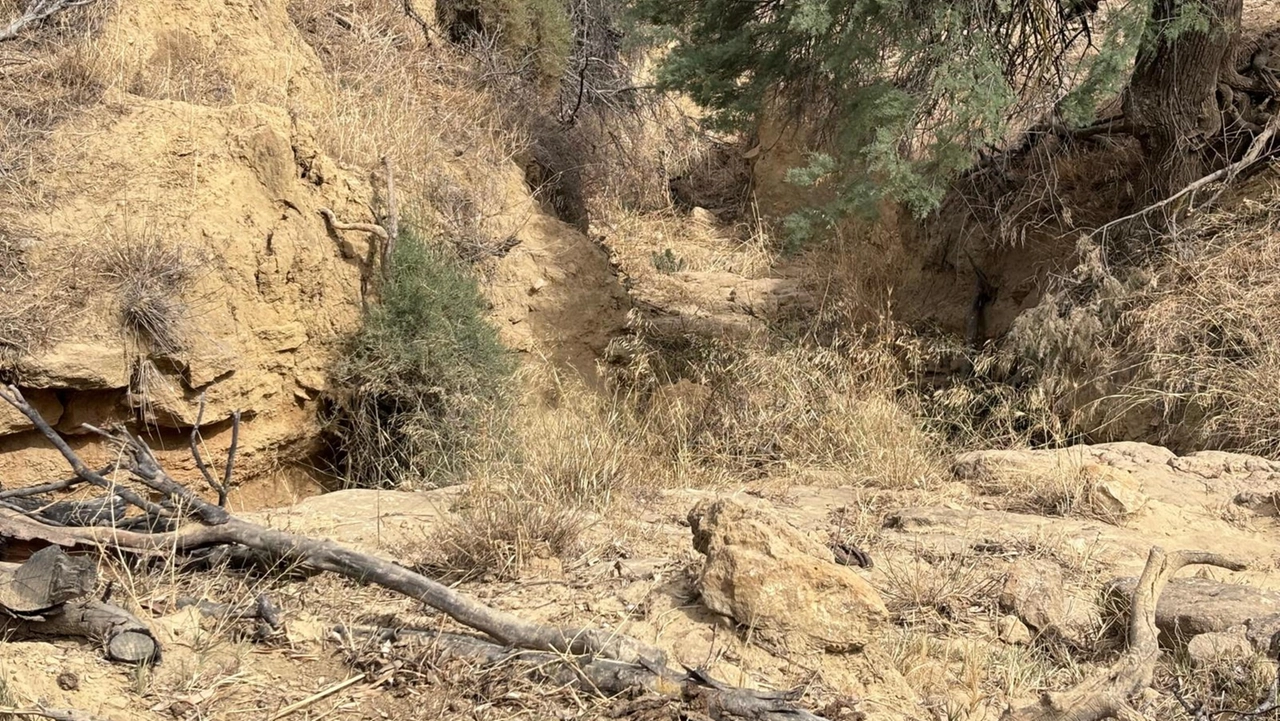 In Sicilia è emergenza siccità