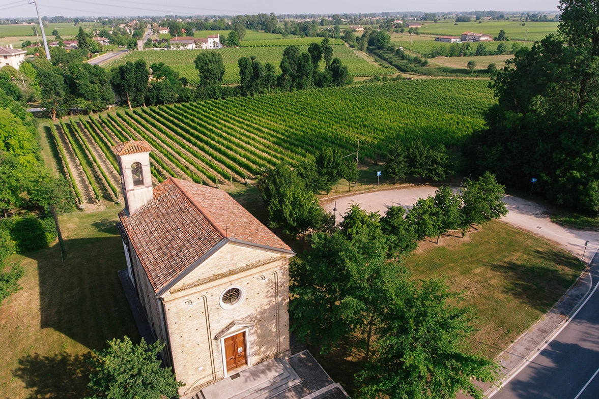 Vigneti Stajnbech, tutti a conduzione familiare