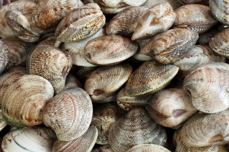 Cosa mettere in tavola per la Befana? Dalle vongole agli agrumi: i prodotti per risparmiare