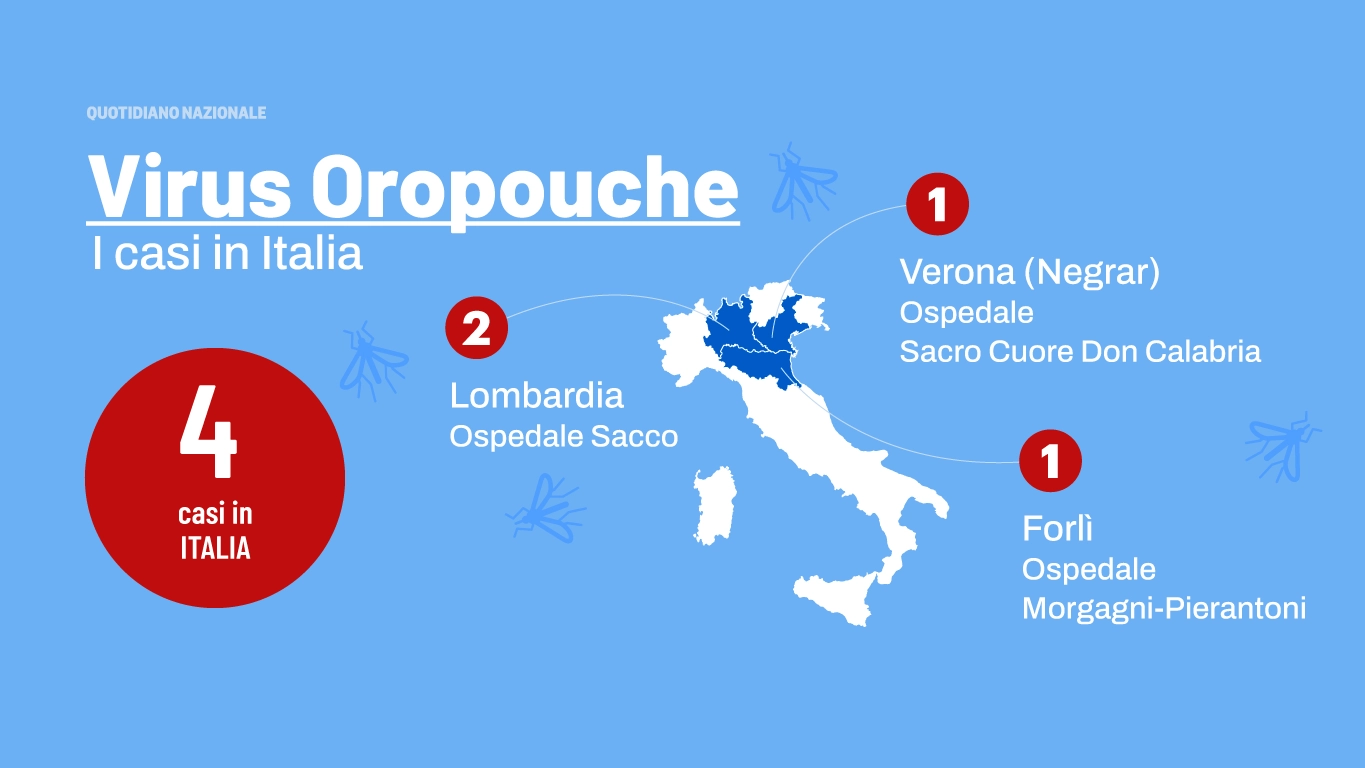 Virus Oropouche: in Italia finora sono stati accertati 4 casi tra Veneto, Emilia Romagna e Lombardia