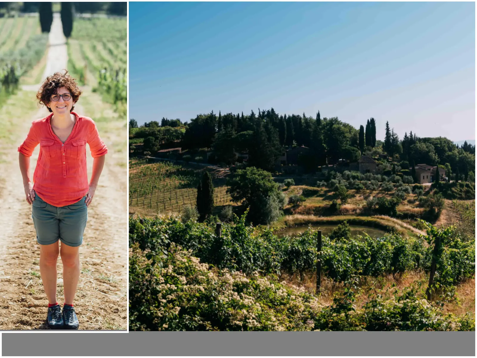 Vecchie Terre di Montefili, tre amici americani folgorati sulla via del Chianti Classico