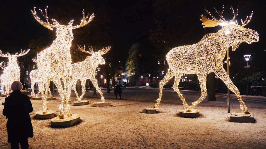 Luci di Natale di Stoccolma, mostra all'aperto fino al 15 gennaio 2025