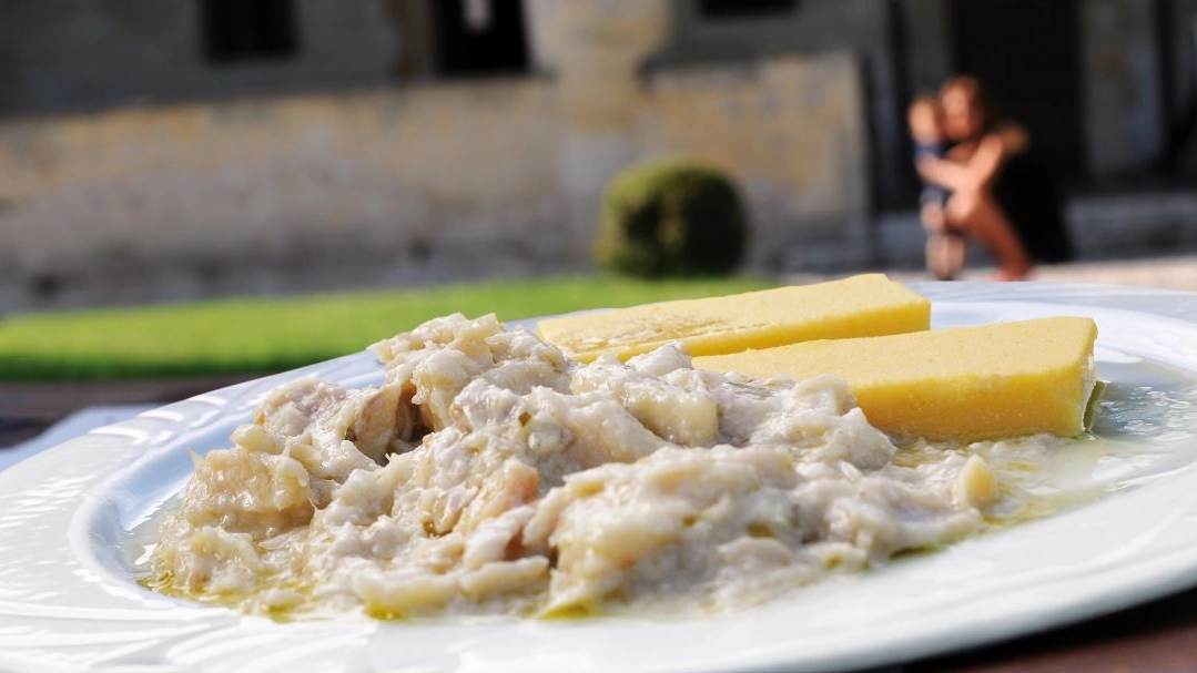 Polenta e bacalà