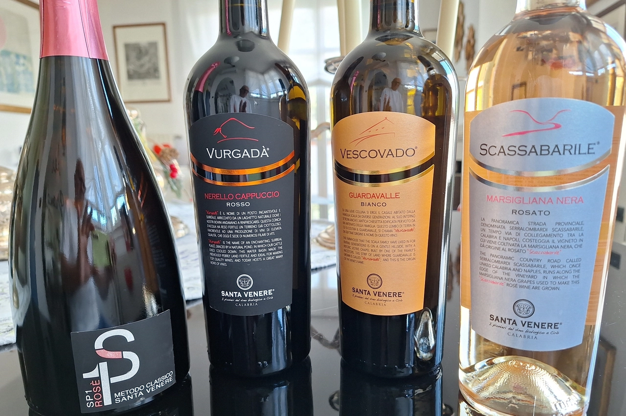 I 4 vini della cantina degustati