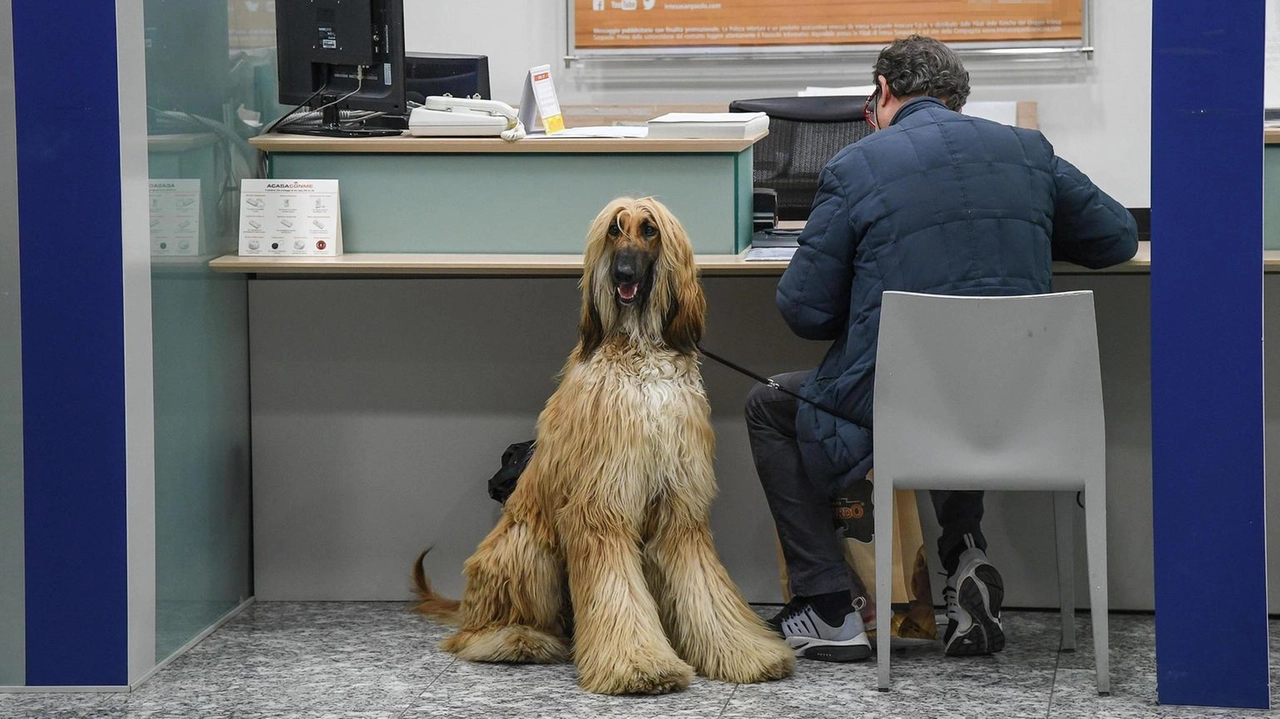 Nel 2023, circa 10 milioni di cittadini hanno chiesto prestiti, con famiglie e banche come principali fonti di aiuto economico.