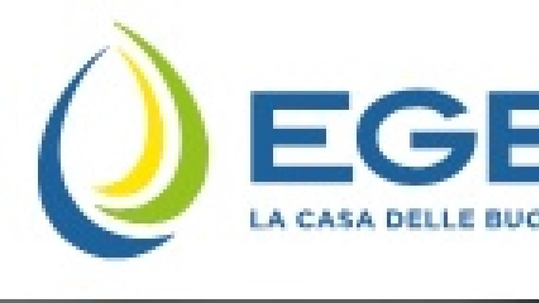 Gdf sequestra 3,6 milioni a ex patron Egea, false comunicazioni
