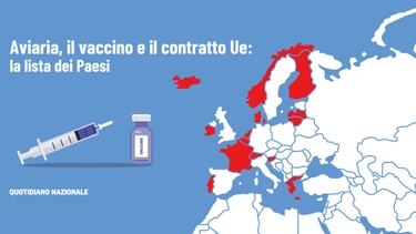 Aviaria, il vaccino e il contratto Ue. Perché non riguarda l’Italia e a chi è destinato
