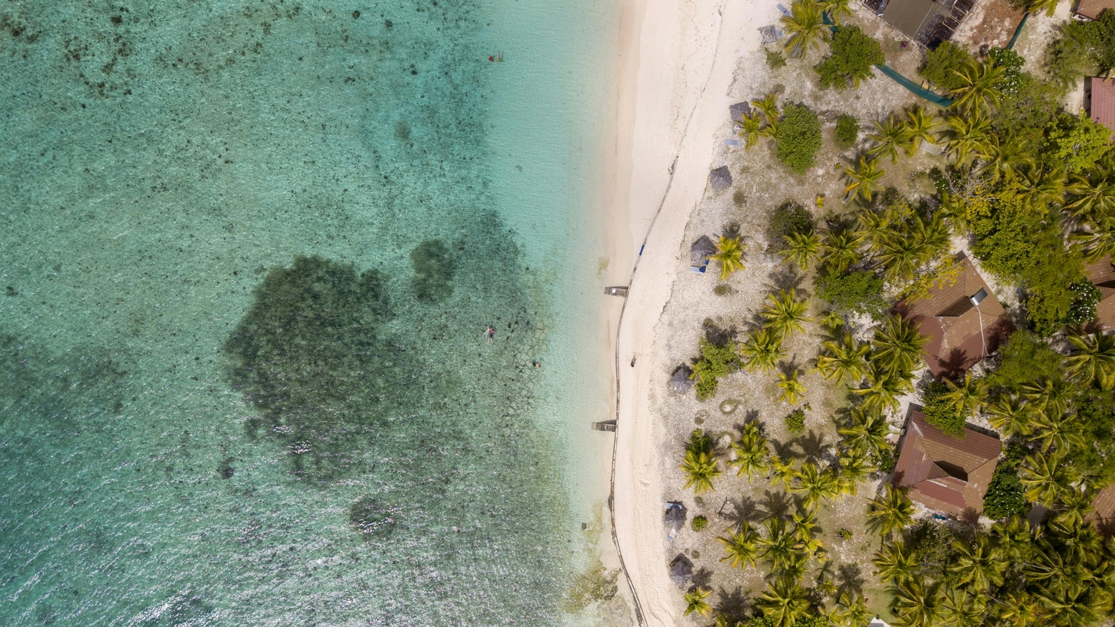 Spiaggia delle Fiji (pexels)