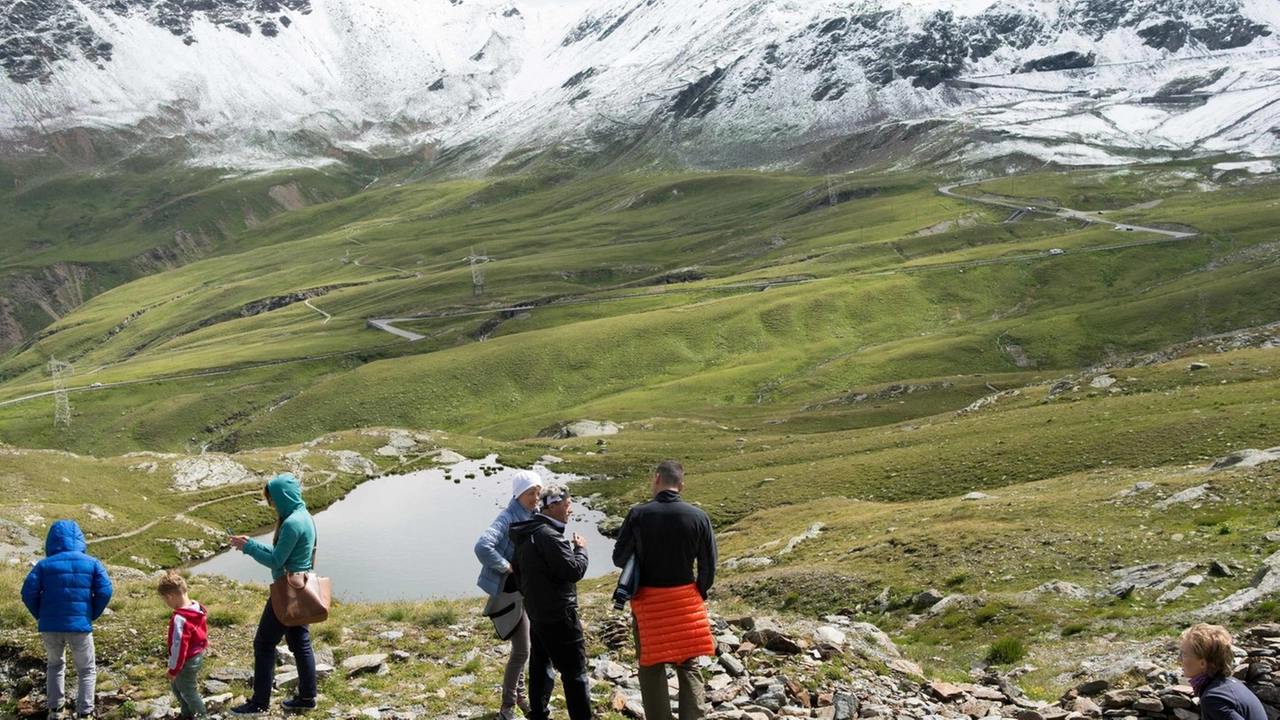 Stelvio, turisti in visita al parco