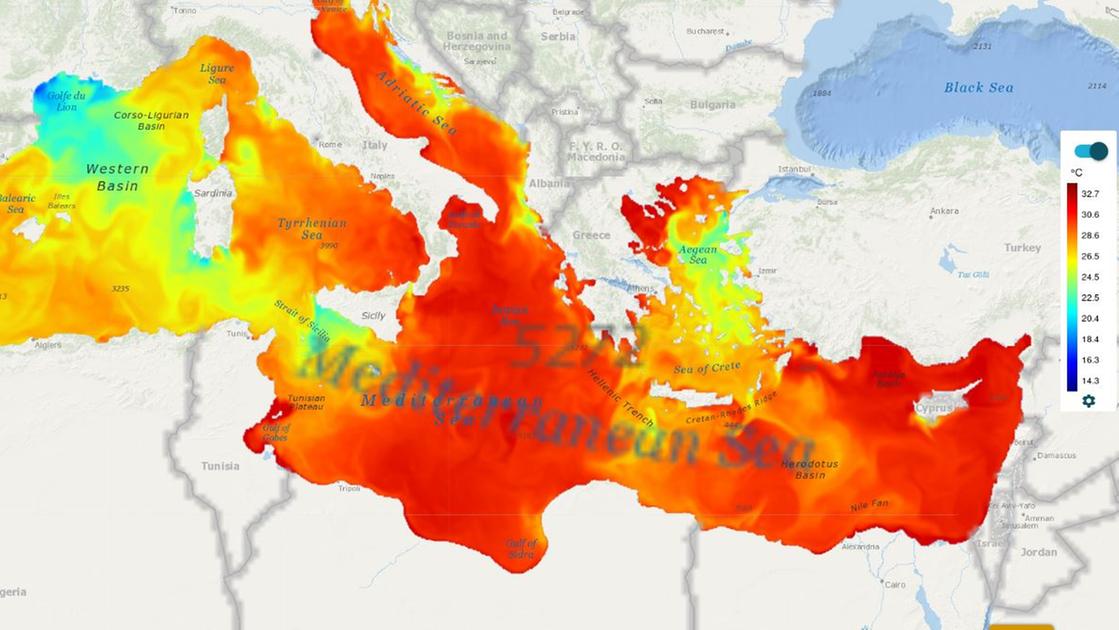 Mare Adriatico soffoca di caldo. Il ricercatore: cosa sta succedendo alla pesca e quali sono le previsioni