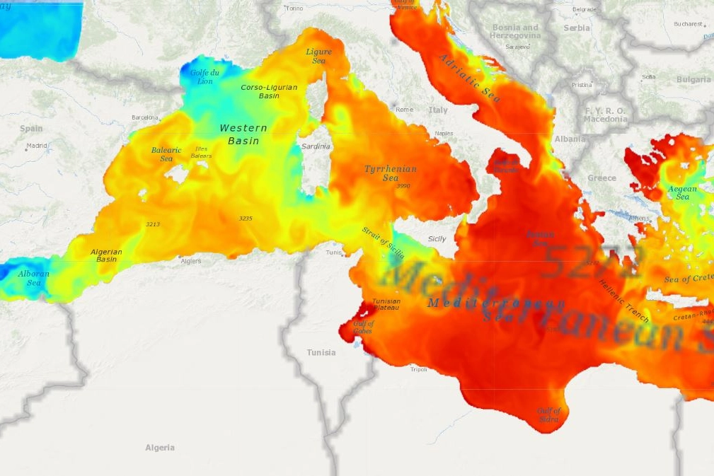 Il Mediterraneo (e l'Adriatico) bollono: ecco la mappa delle temperature messa a punto da CMCC e Copernicus
