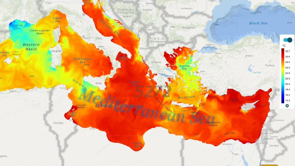 Il Mediterraneo (e l'Adriatico) bollono: ecco la mappa delle temperature messa a punto da CMCC e Copernicus