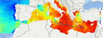 Mare Adriatico soffoca di caldo. Il ricercatore: cosa sta succedendo alla pesca e quali sono le previsioni