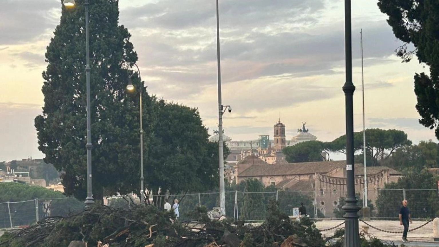 Indagine su alberi caduti a Roma, in 23 rischiano processo