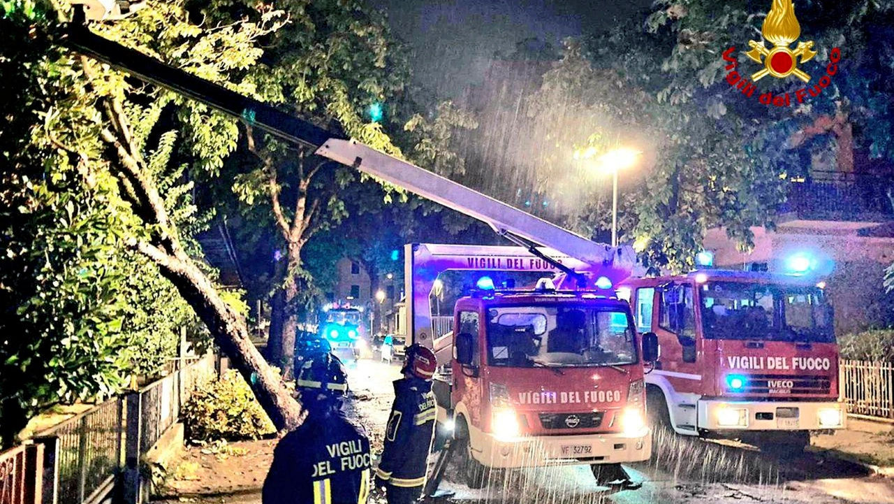 CESENATICO MALTEMPO ALBERO CADUTO SU UNA CASA IN VIALE DELLA REPUBBLICA