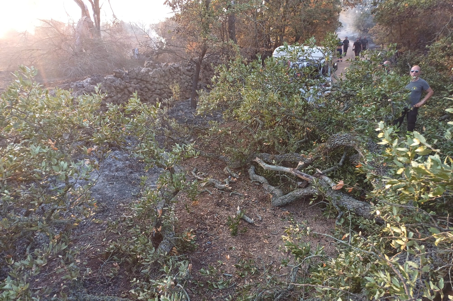 L'incendio di Ceglie Messapica (Brindisi): un operaio dell'Arif è morto schiacciato da un tronco