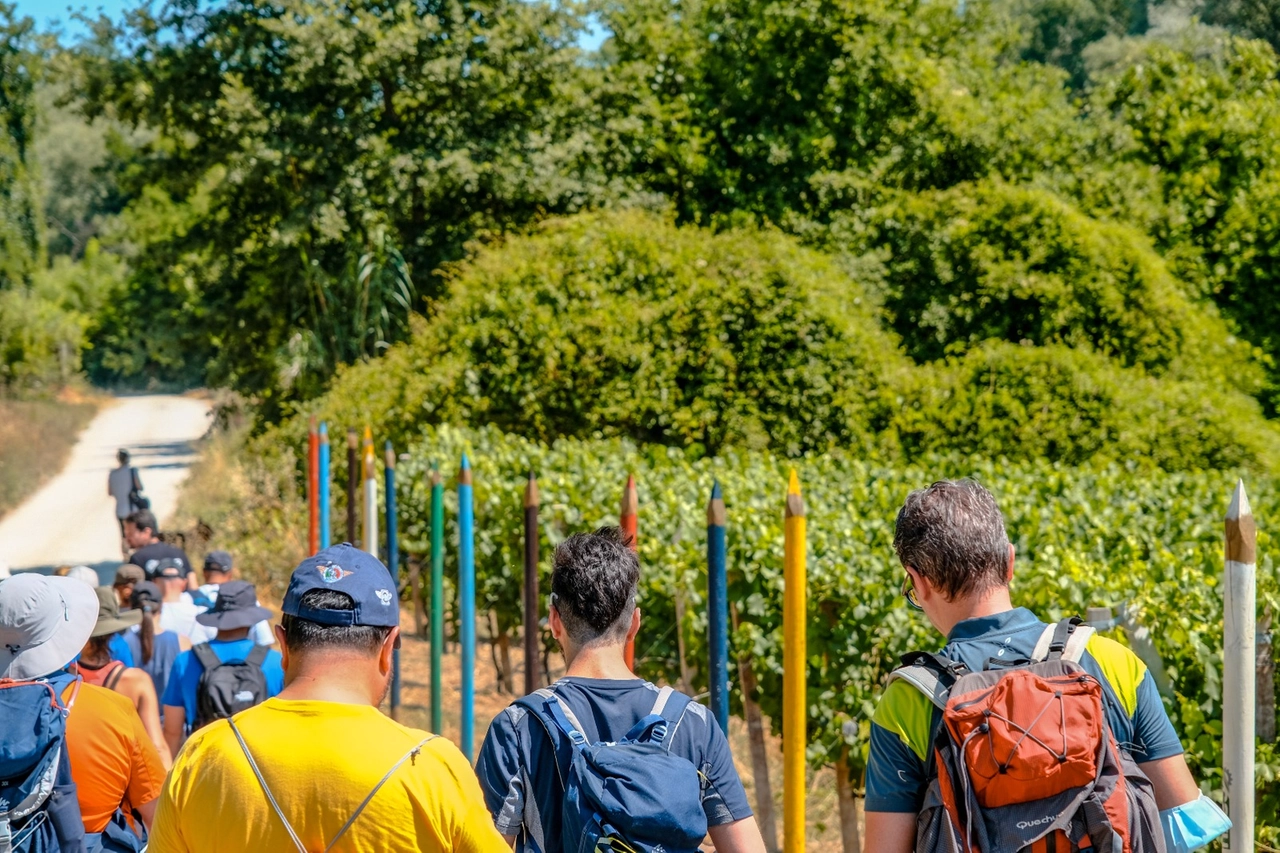 Non solo degustazioni: sono previste anche visite guidate nelle vigne