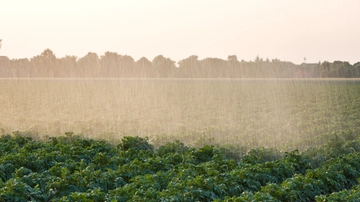 Clima estremo e carenza di scorte alimentari, il caso del Regno Unito: presto un’impennata dei prezzi