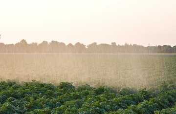 Clima estremo e carenza di scorte alimentari, il caso del Regno Unito: presto un’impennata dei prezzi