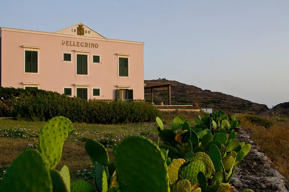 Cantine Pellegrino, l’oro di Pantelleria oltre moscato e passito