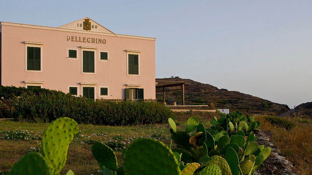 Lo storico gruppo vinicolo siciliano, presente sull’isola dal 1992, punta a creare grandi vini bianchi secchi. L’esempio di Isesi, da uve Zibibbo selezionate in diverse contrade