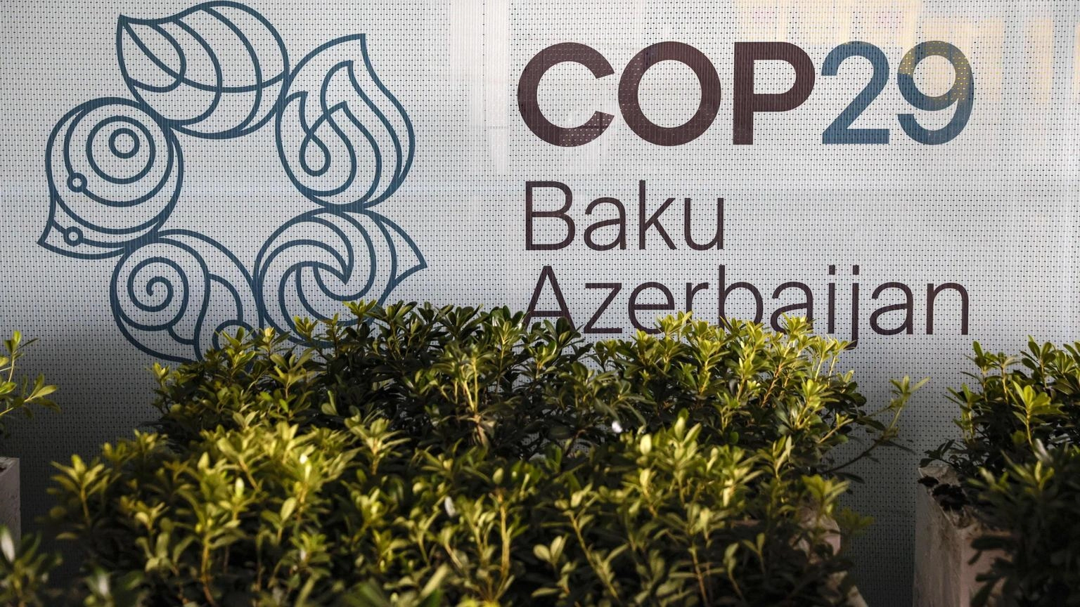 Cop29, 300 milioni nel 2024 per il fondo per l'adattamento