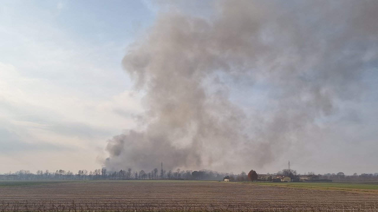 La colonna di fumo che arriva dall'azienda agricola di Limena (Padova)