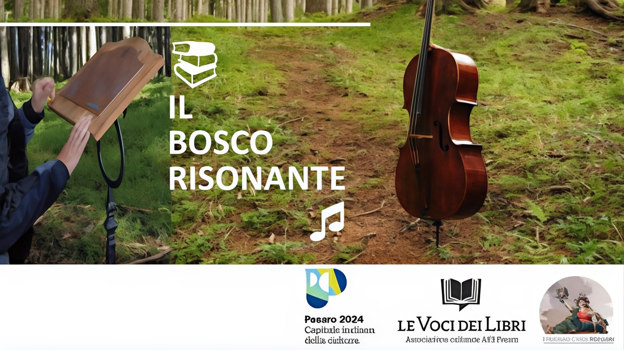 Il bosco risonante celebra il cipresso. Tappa il 16 agosto al Museo del Balì