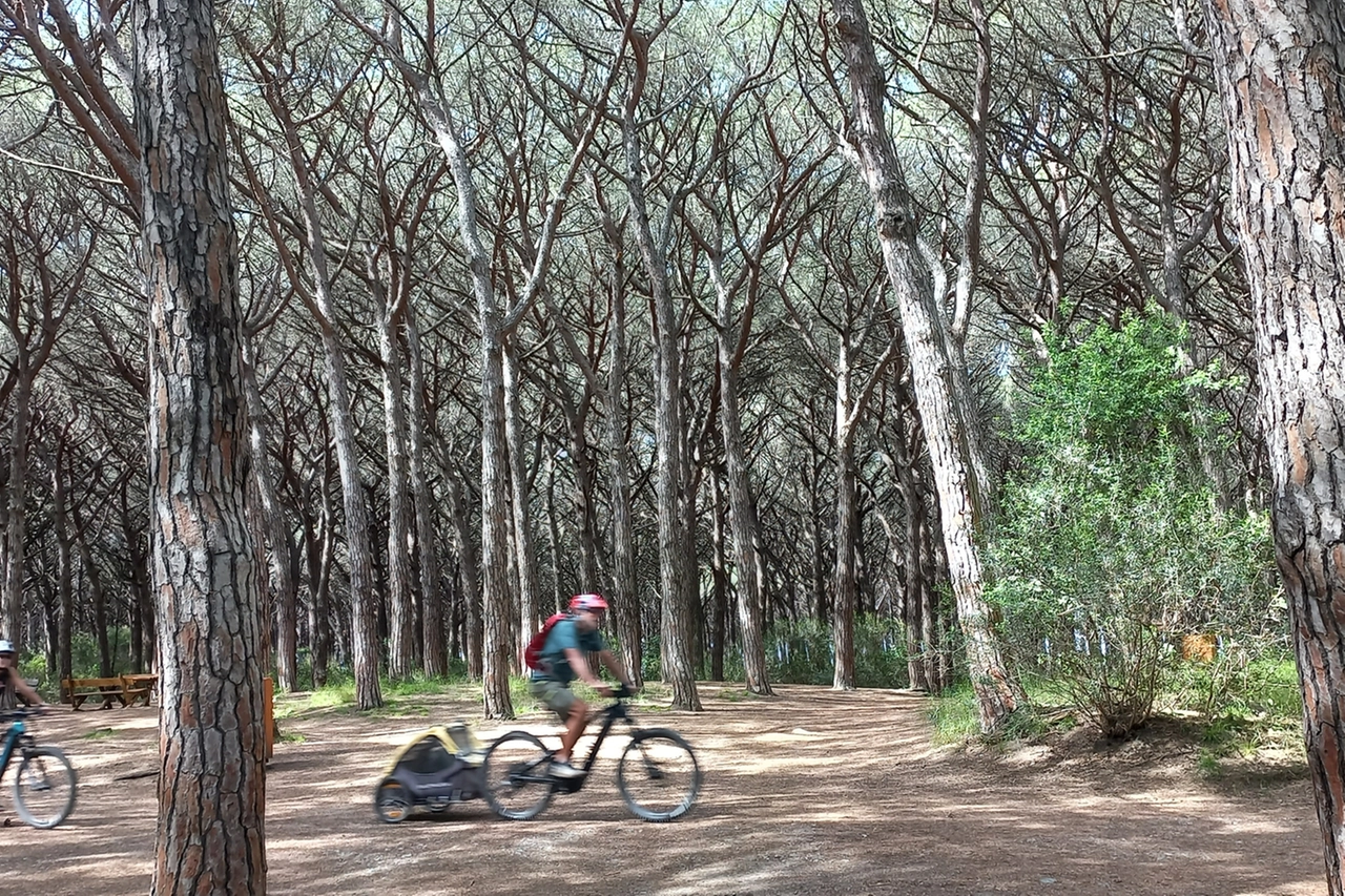 Tombolo di Cecina per le ciclopasseggiate