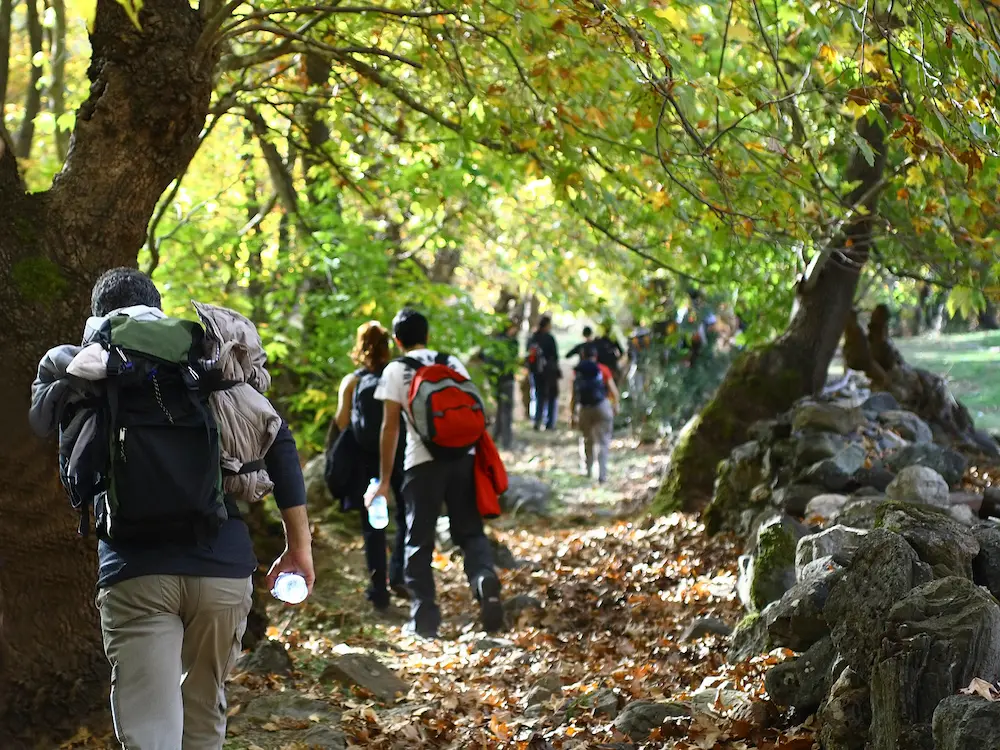 Trekking, 5 cammini da fare in Emilia-Romagna