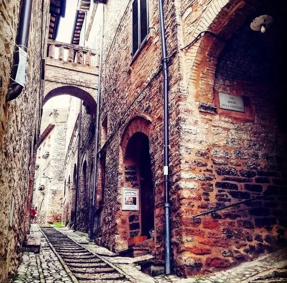 Sulle tracce del Santo. Un cammino da scoprire