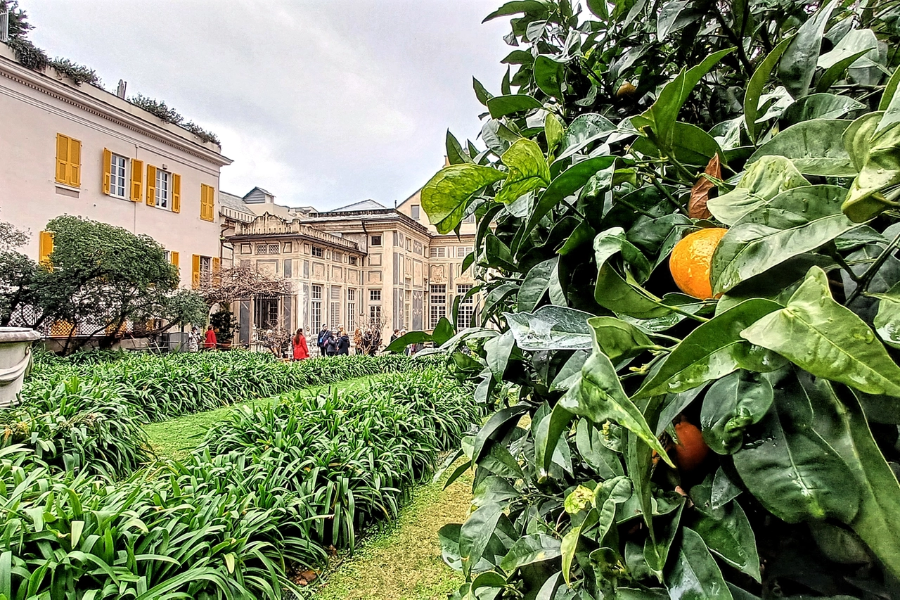 Genova Palazzi dei Rolli, il giardino segreto di Palazzo Lomellino (credits Laura De Benedetti)