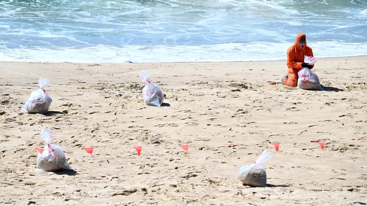 Palle di catrame si riversano su spiagge di Sydney