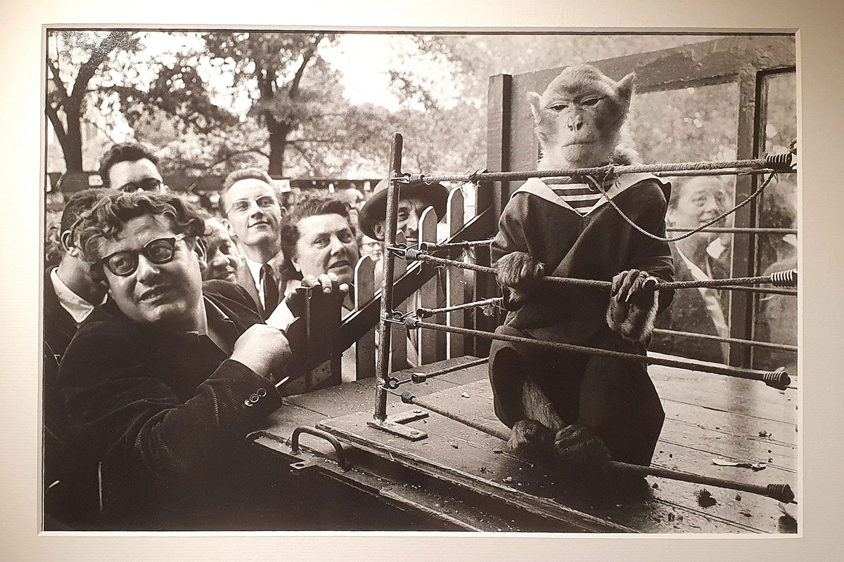 "Les animaux supérieurs" di R. Doisneau