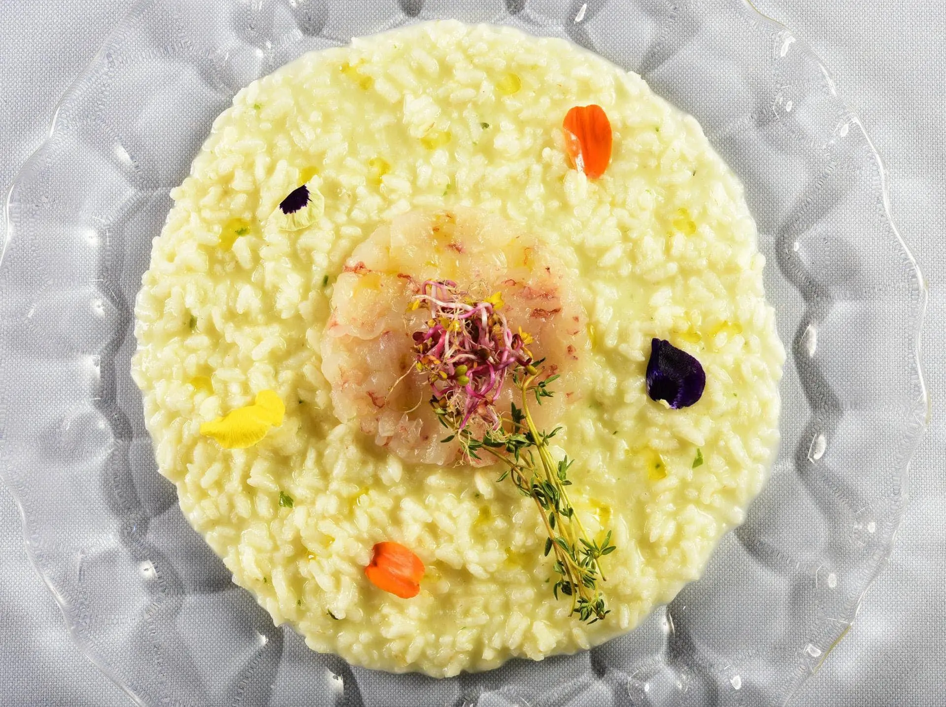 Risotto mantecato al limone con battuta di scampi e germogli rossi