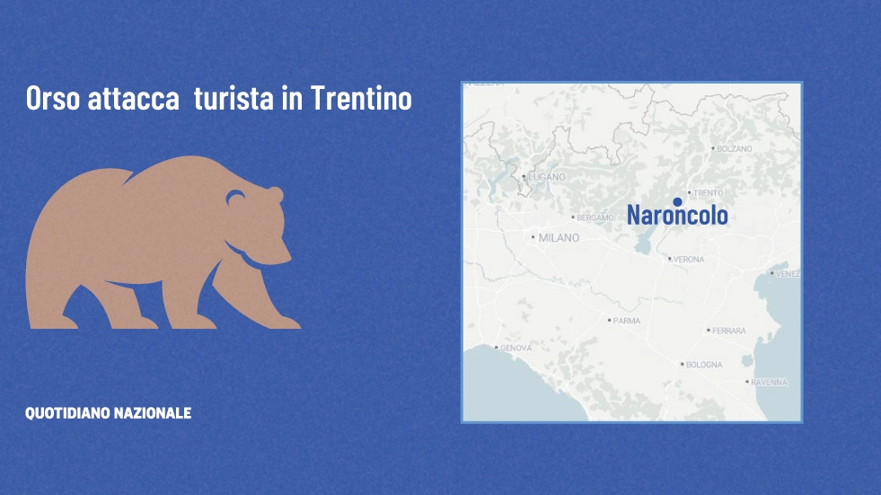Turista straniero attaccato da un orso in Trentino