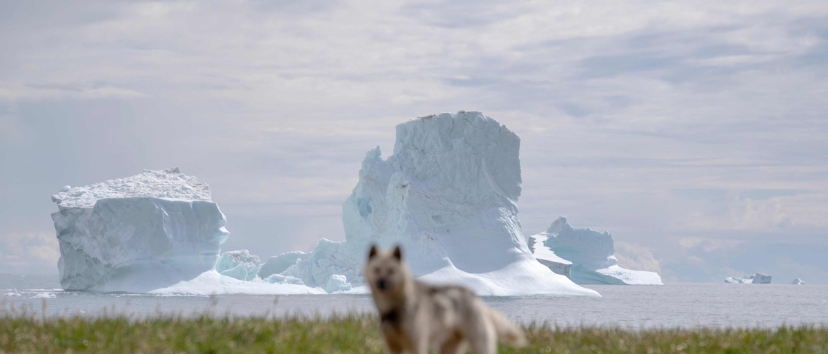 Perché Trump vuole la Groenlandia e cosa c’entra il cambiamento climatico