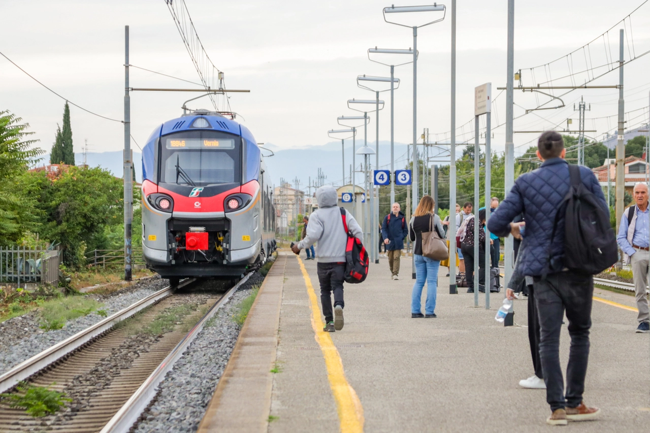 Treni, foto generica (Germogli)