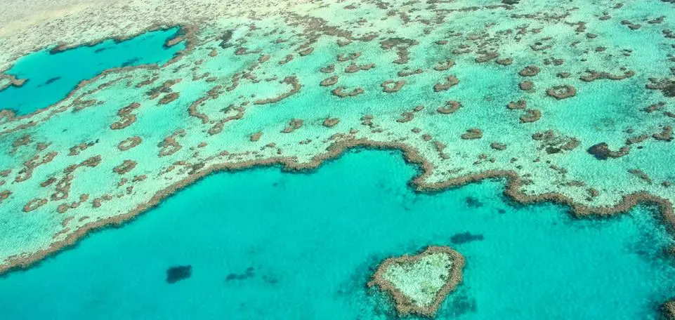 Natura, metropoli e divertimento: l’Australia delle meraviglie