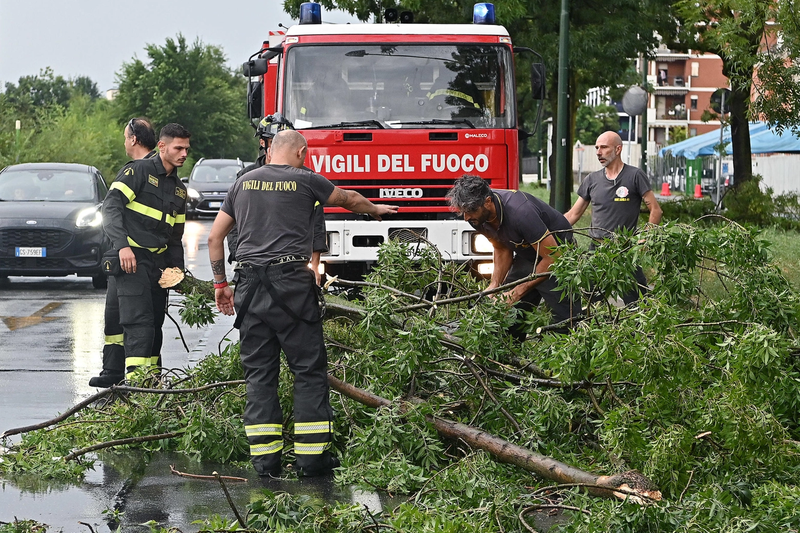 Nubifragio a Torino: alberi caduti e il tetto di una scuola scoperchiata