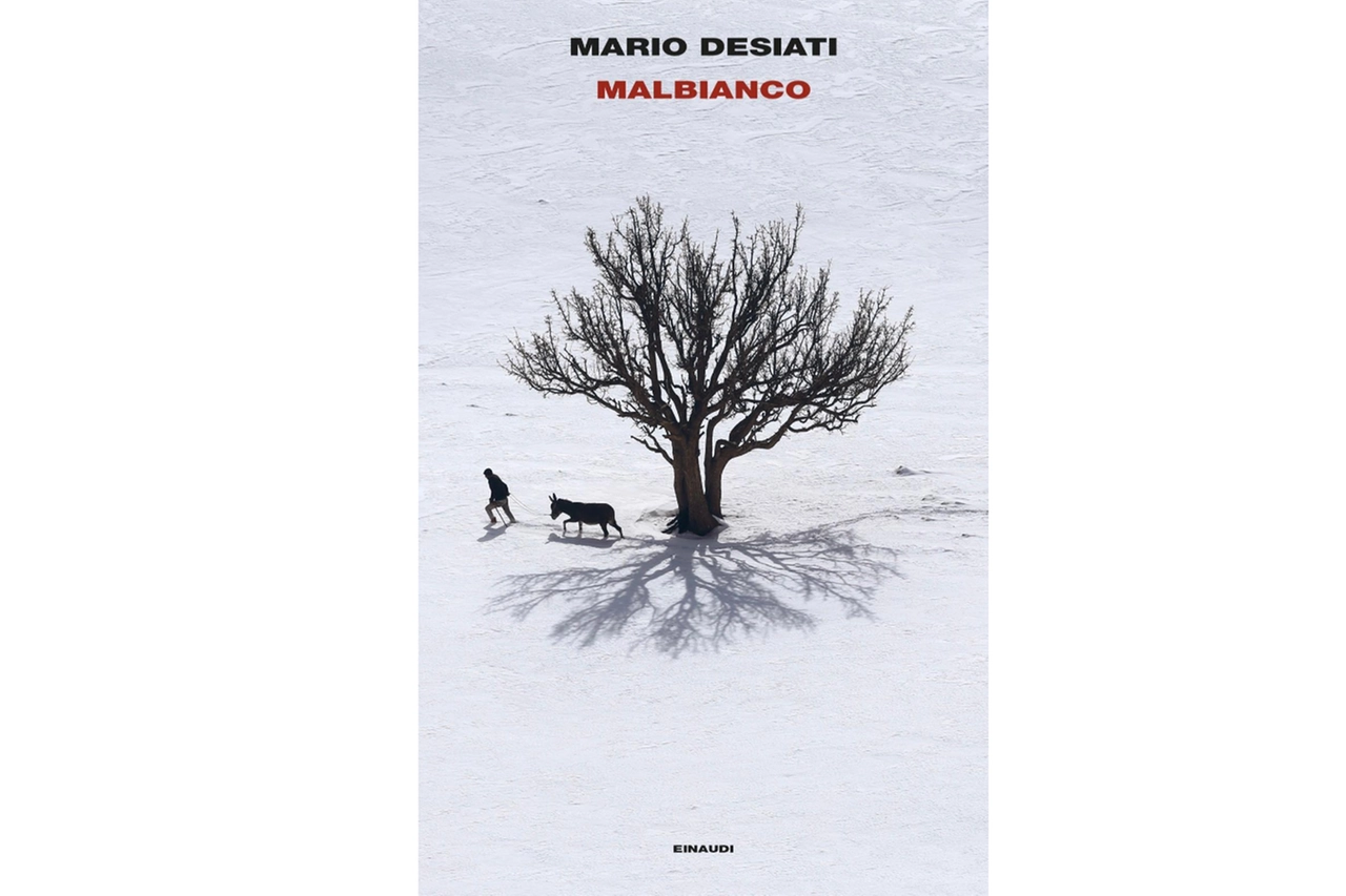 La copertina del romanzo di Mario Desiati