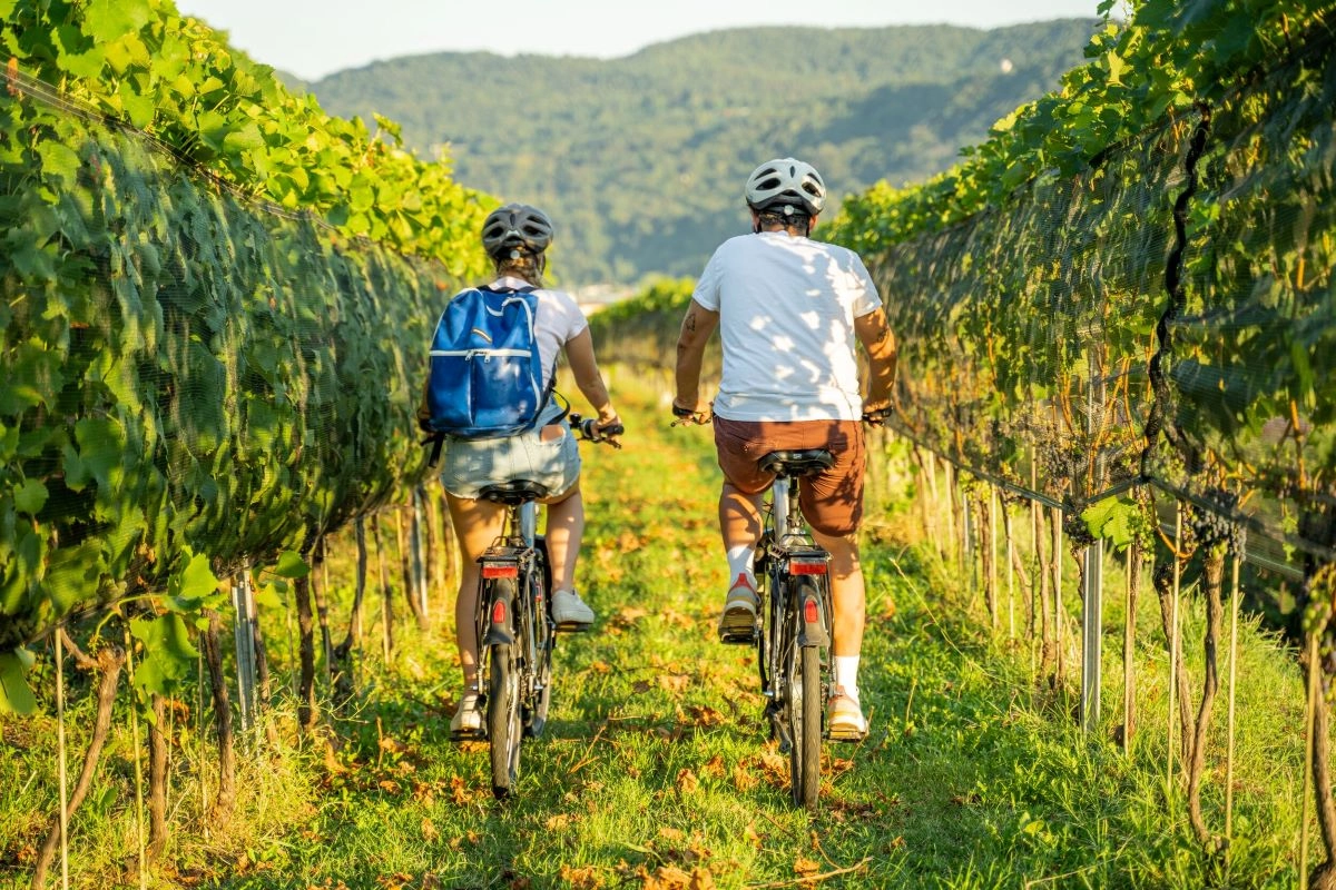 In bici tra i vigneti