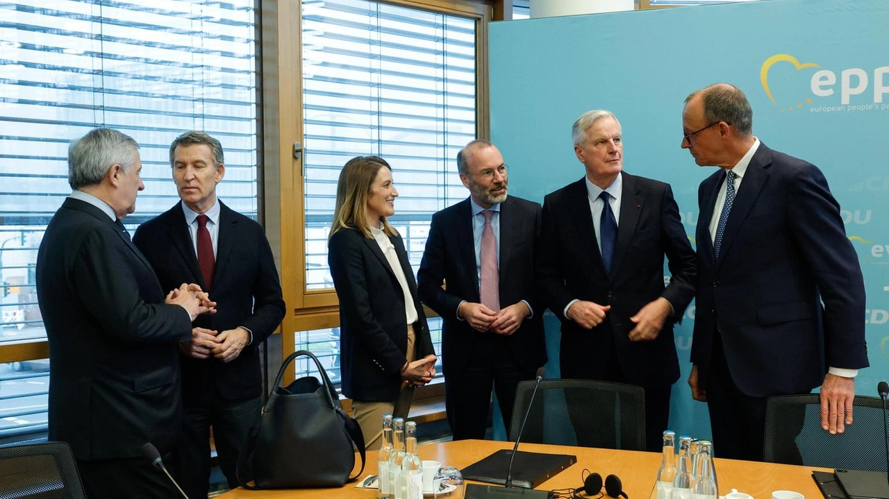 Il ministro degli esteri Tajani esclude alleanze con l'ultradestra tedesca e critica la mancanza di simpatia per l'Italia.