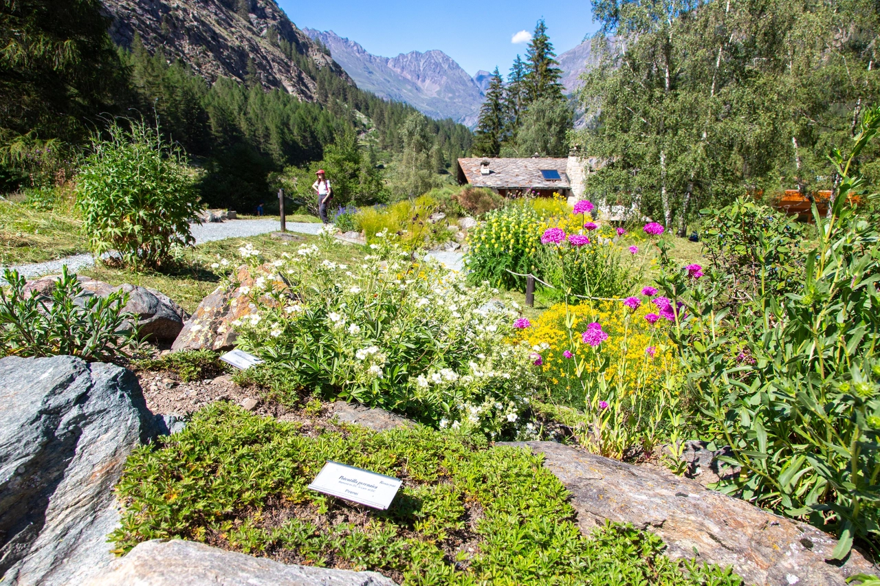 Il Giardino botanico Paradisia a Cogne, in Valle d'Aosta (foto Enrico Romanzi)