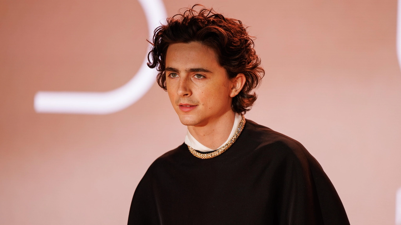 Timothée Chalamet - Crediti Ansa