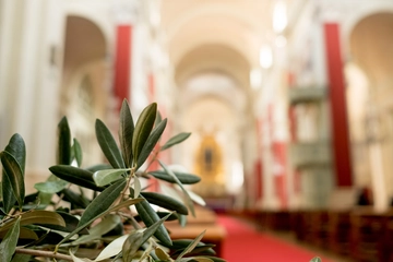 Domenica delle Palme, significato e perché si chiama così. La storia dell’ulivo come simbolo