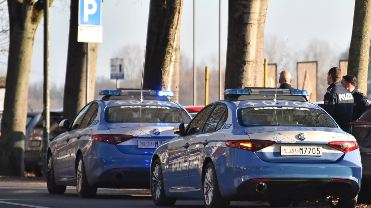 Auto della polizia (Ansa)